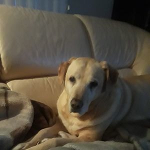 Meet your Posher, Todd